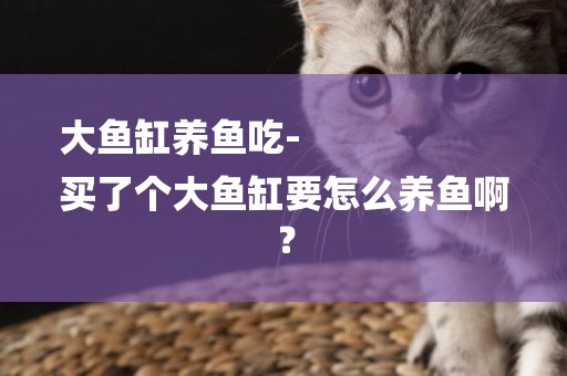 大魚缸養魚吃-
買了個大魚缸要怎么養魚啊？
