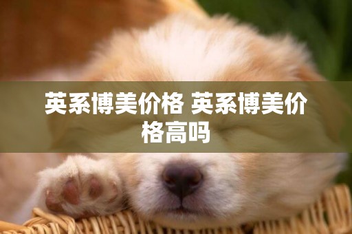 英系博美價格 英系博美價格高嗎