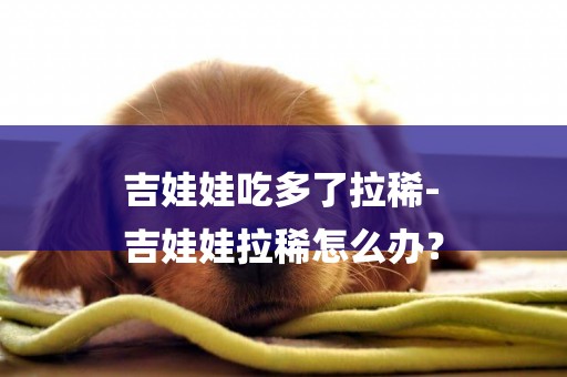 吉娃娃吃多了拉稀-
吉娃娃拉稀怎么辦？