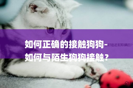 如何正確的接觸狗狗-
如何與陌生狗狗接觸？