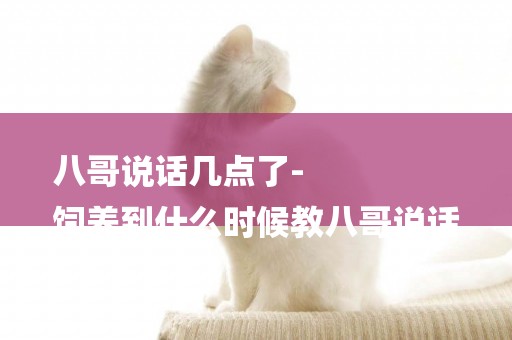 八哥說話幾點了-
飼養到什么時候教八哥說話