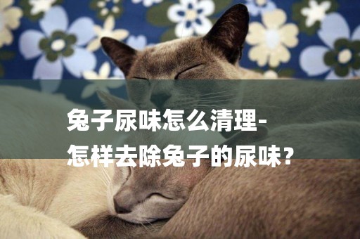 兔子尿味怎么清理-
怎樣去除兔子的尿味？