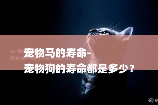 寵物馬的壽命-
寵物狗的壽命都是多少？