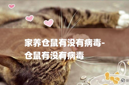 家養倉鼠有沒有病毒-
倉鼠有沒有病毒