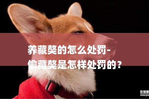 養藏獒的怎么處罰-
偷藏獒是怎樣處罰的？