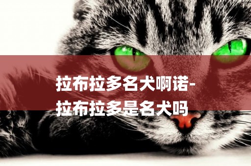拉布拉多名犬啊諾-
拉布拉多是名犬嗎