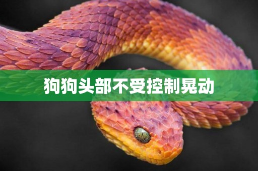 狗狗頭部不受控制晃動
