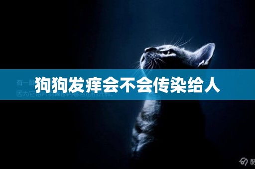 狗狗發癢會不會傳染給人