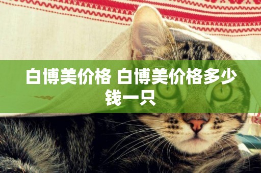 白博美價格 白博美價格多少錢一只