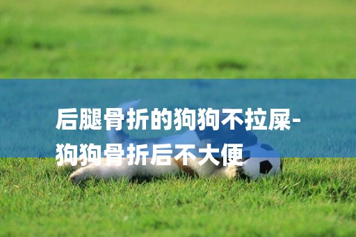 后腿骨折的狗狗不拉屎-
狗狗骨折后不大便