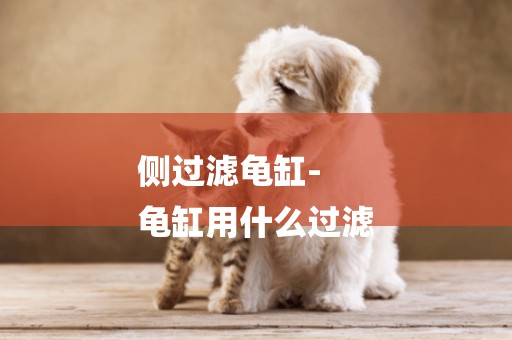 側過濾龜缸-
龜缸用什么過濾