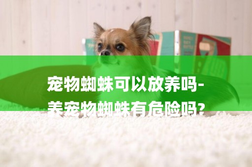 寵物蜘蛛可以放養嗎-
養寵物蜘蛛有危險嗎?
