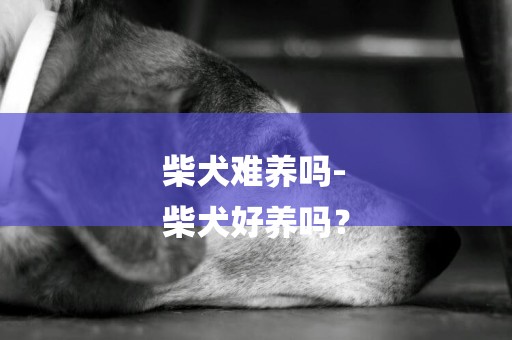 柴犬難養嗎-
柴犬好養嗎？