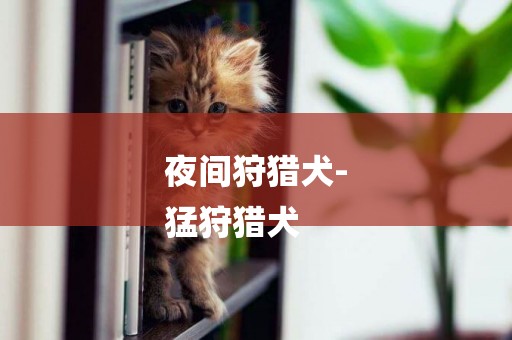 夜間狩獵犬-
猛狩獵犬