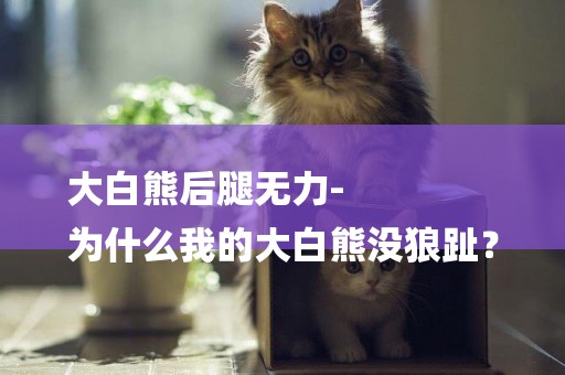 大白熊后腿無力-
為什么我的大白熊沒狼趾？