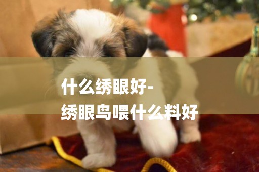 什么繡眼好-
繡眼鳥喂什么料好