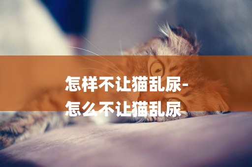 怎樣不讓貓亂尿-
怎么不讓貓亂尿