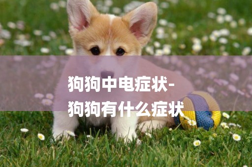 狗狗中電癥狀-
狗狗有什么癥狀
