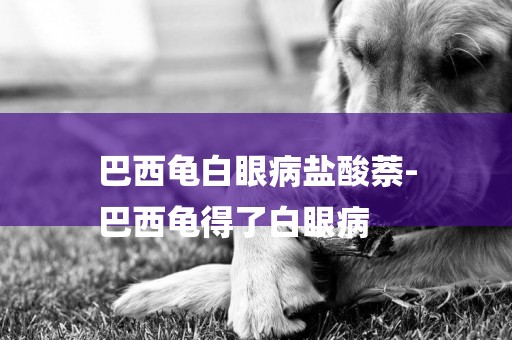 巴西龜白眼病鹽酸萘-
巴西龜得了白眼病