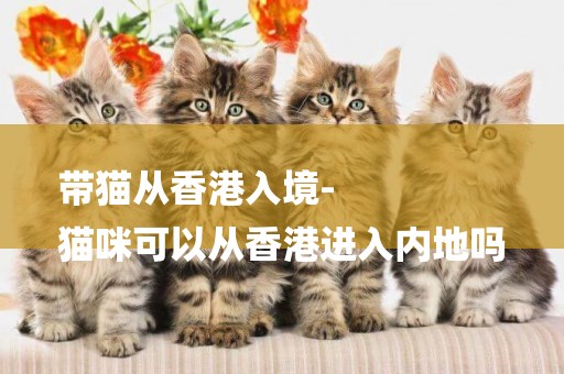 帶貓從香港入境-
貓咪可以從香港進入內地嗎