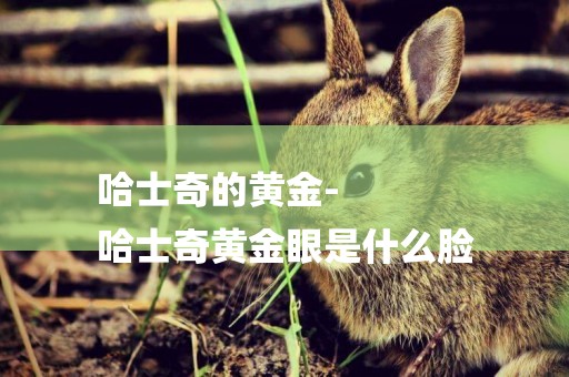 哈士奇的黃金-
哈士奇黃金眼是什么臉