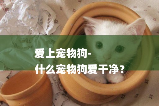 愛上寵物狗-
什么寵物狗愛干凈？