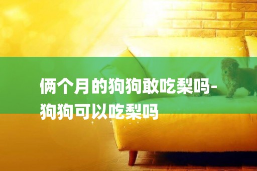 倆個月的狗狗敢吃梨嗎-
狗狗可以吃梨嗎