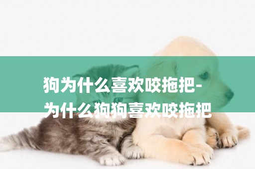 狗為什么喜歡咬拖把-
為什么狗狗喜歡咬拖把