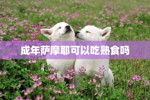 成年薩摩耶可以吃熟食嗎