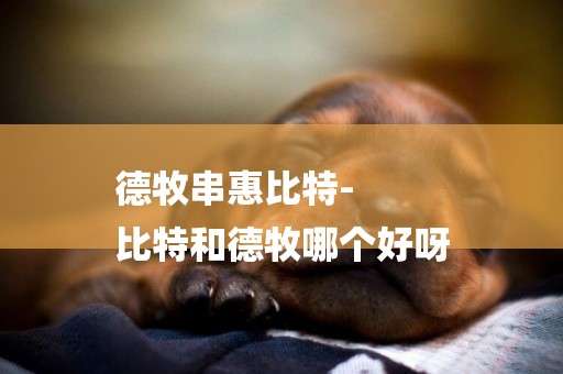 德牧串惠比特-
比特和德牧哪個好呀