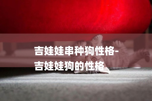 吉娃娃串種狗性格-
吉娃娃狗的性格