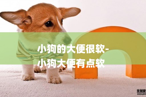 小狗的大便很軟-
小狗大便有點軟