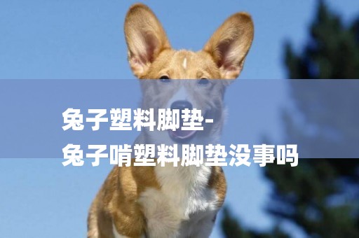 兔子塑料腳墊-
兔子啃塑料腳墊沒事嗎