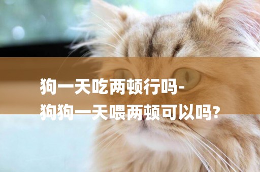 狗一天吃兩頓行嗎-
狗狗一天喂兩頓可以嗎?