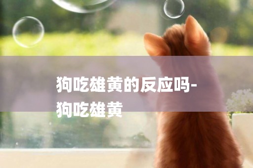 狗吃雄黃的反應嗎-
狗吃雄黃