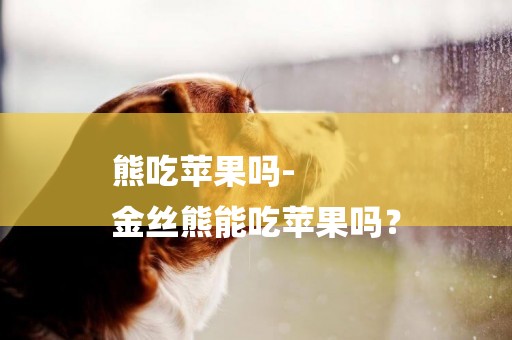 熊吃蘋果嗎-
金絲熊能吃蘋果嗎？