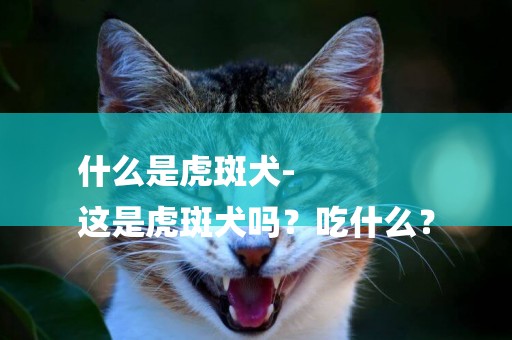 什么是虎斑犬-
這是虎斑犬嗎？吃什么？