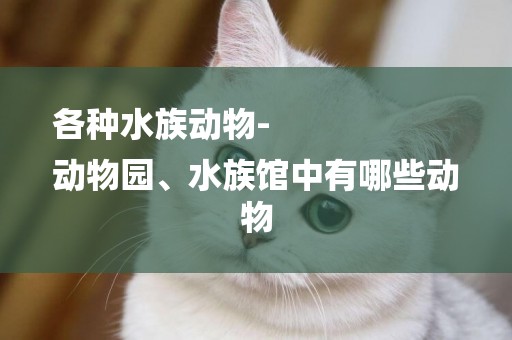 各種水族動物-
動物園、水族館中有哪些動物