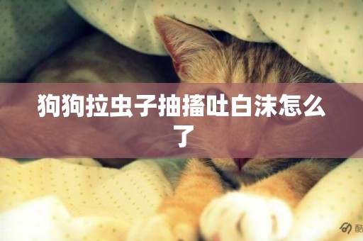 狗狗拉蟲子抽搐吐白沫怎么了