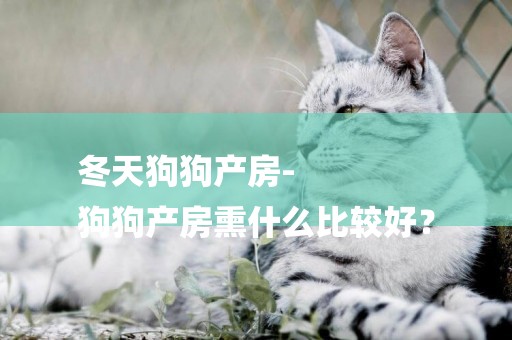 冬天狗狗產房-
狗狗產房熏什么比較好？