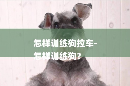 怎樣訓練狗拉車-
怎樣訓練狗？