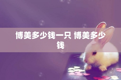 博美多少錢一只 博美多少錢