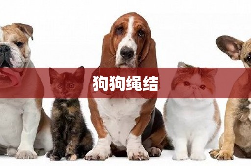 狗狗繩結