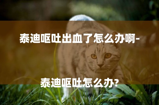 泰迪嘔吐出血了怎么辦啊-
泰迪嘔吐怎么辦?