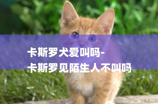 卡斯羅犬愛叫嗎-
卡斯羅見陌生人不叫嗎