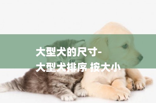 大型犬的尺寸-
大型犬排序 按大小