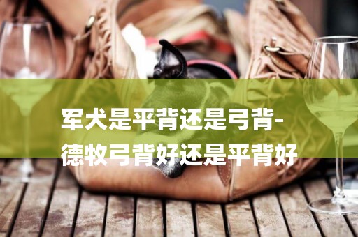 軍犬是平背還是弓背-
德牧弓背好還是平背好