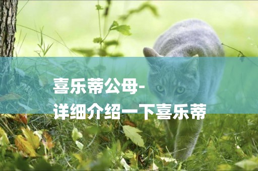 喜樂蒂公母-
詳細介紹一下喜樂蒂