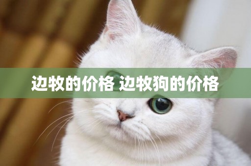 邊牧的價格 邊牧狗的價格
