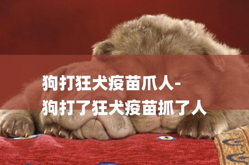 狗打狂犬疫苗爪人-
狗打了狂犬疫苗抓了人